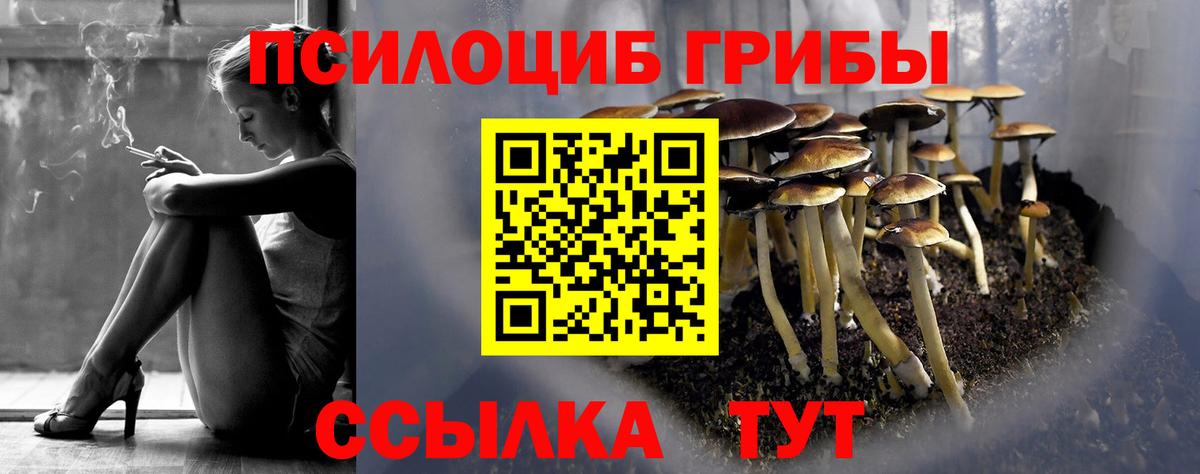 Псилоцибиновые грибы мицелий Холмск