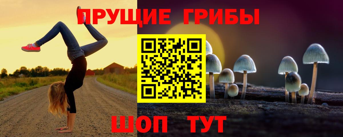 Галлюциногенные грибы MAGIC MUSHROOMS  наркота  Галлюциногенные грибы Cubensis  Холмск  Вход с VPN 